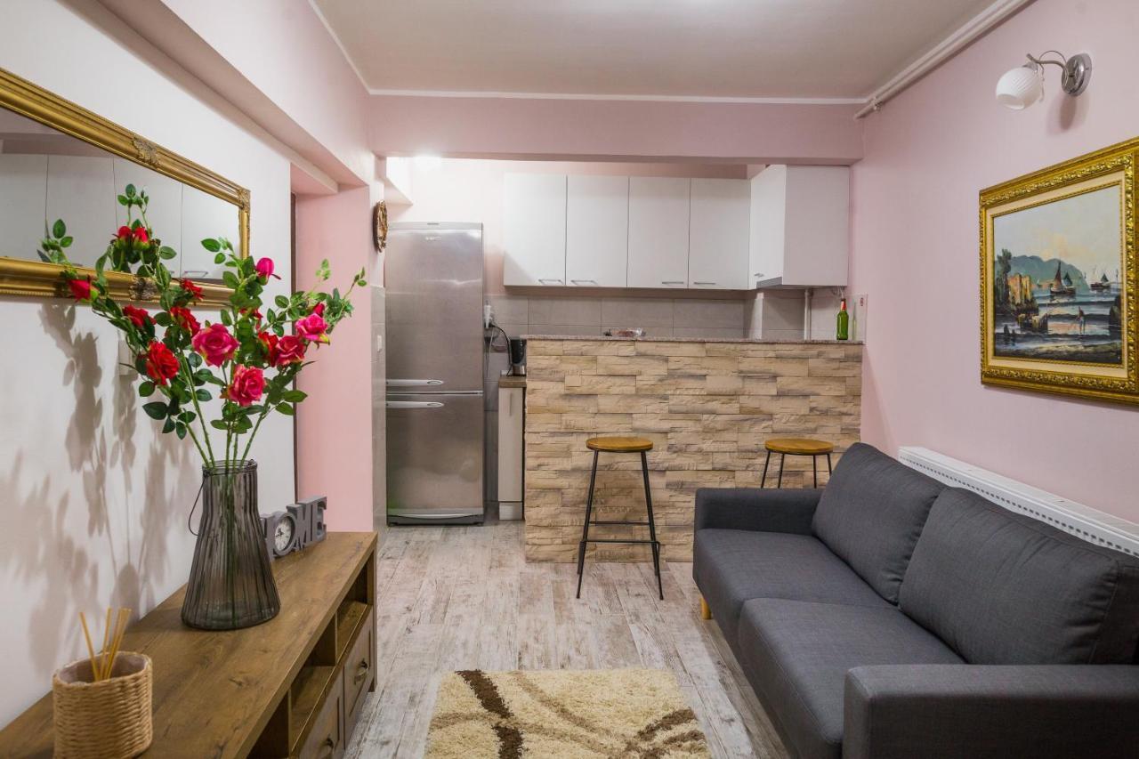 Alpin Central Studio * Braşov
