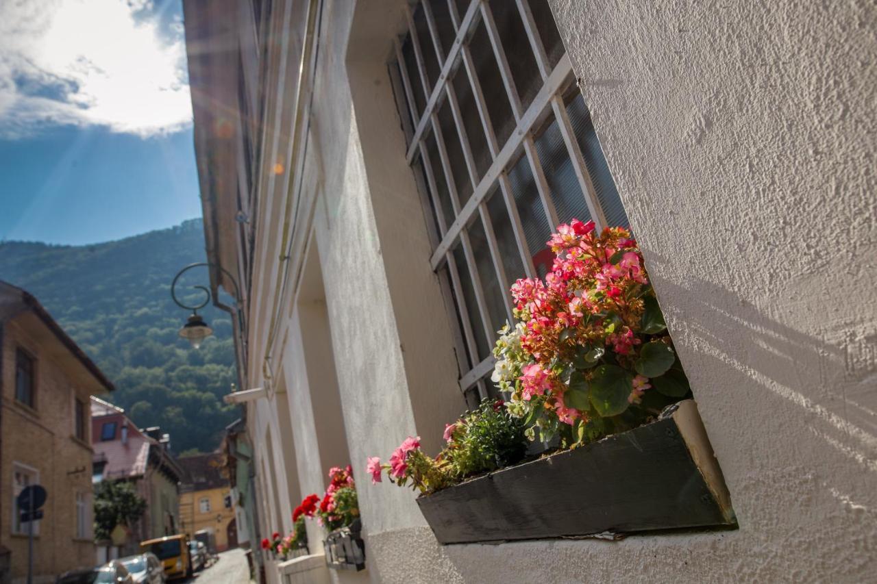 Alpin Central Studio Apartment